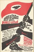An-image-of-black-fists-grabbing-a-red-flag-with-an-eagle-at-the-center